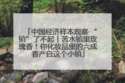 中国经济样本观察·“镇”了不起丨苦水镇里玫瑰香！你化妆品里的六成香产自这个小镇