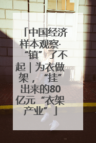 中国经济样本观察·“镇”了不起｜为衣做架，“挂”出来的80亿元“衣架产业”