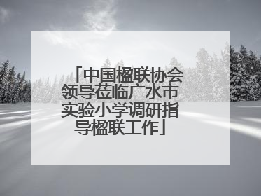 中国楹联协会领导莅临广水市实验小学调研指导楹联工作