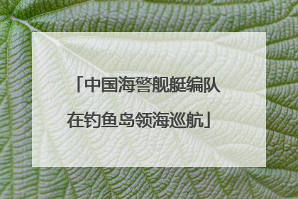中国海警舰艇编队在钓鱼岛领海巡航