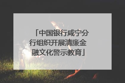 中国银行咸宁分行组织开展清廉金融文化警示教育