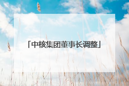 中核集团董事长调整