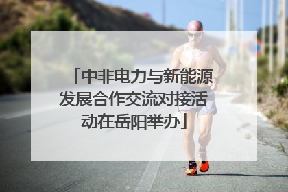 中非电力与新能源发展合作交流对接活动在岳阳举办