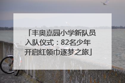 丰奥嘉园小学新队员入队仪式：82名少年开启红领巾逐梦之旅