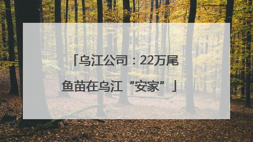乌江公司：22万尾鱼苗在乌江“安家”