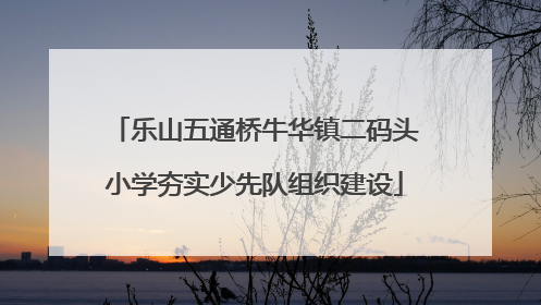 乐山五通桥牛华镇二码头小学夯实少先队组织建设