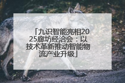 九识智能亮相2025廊坊经洽会：以技术革新推动智能物流产业升级