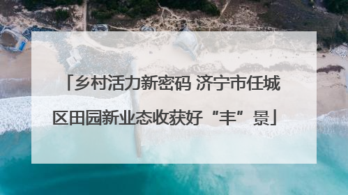 乡村活力新密码 济宁市任城区田园新业态收获好“丰”景