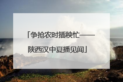 争抢农时插秧忙——陕西汉中夏播见闻