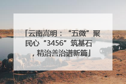 云南嵩明：“五微”聚民心“3456”筑基石，精治善治谱新篇
