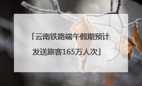 云南铁路端午假期预计发送旅客165万人次