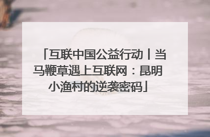 互联中国公益行动丨当马鞭草遇上互联网：昆明小渔村的逆袭密码