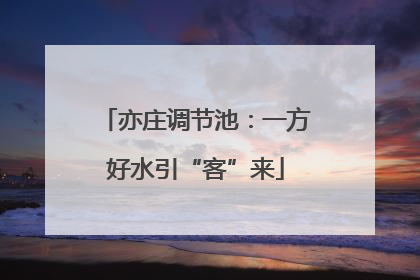 亦庄调节池：一方好水引“客”来