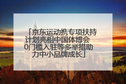 京东运动携专项扶持计划亮相中国体博会 0门槛入驻等多举措助力中小品牌成长