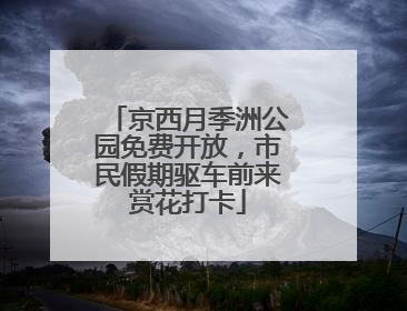 京西月季洲公园免费开放，市民假期驱车前来赏花打卡