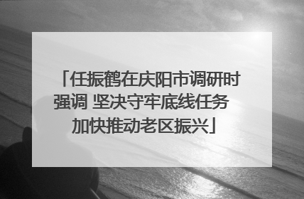 任振鹤在庆阳市调研时强调 坚决守牢底线任务 加快推动老区振兴