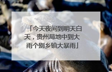 今天夜间到明天白天，贵州局地中到大雨个别乡镇大暴雨