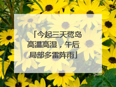 今起三天鹭岛高温高湿，午后局部多雷阵雨