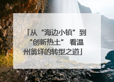 从“海边小镇”到“创新热土” 看温州翁垟的转型之道