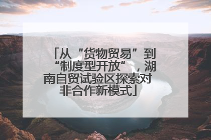 从“货物贸易”到“制度型开放”，湖南自贸试验区探索对非合作新模式