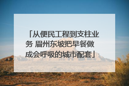 从便民工程到支柱业务 眉州东坡把早餐做成会呼吸的城市配套