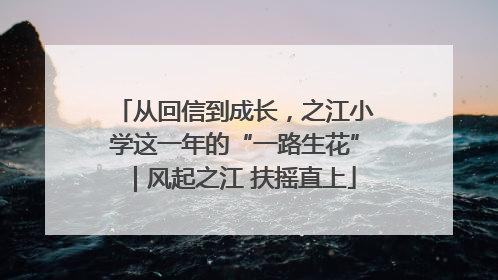 从回信到成长，之江小学这一年的“一路生花”｜风起之江 扶摇直上