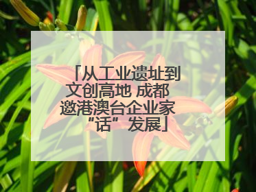 从工业遗址到文创高地 成都邀港澳台企业家“话”发展