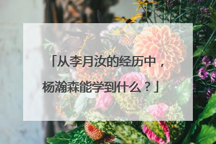 从李月汝的经历中，杨瀚森能学到什么？