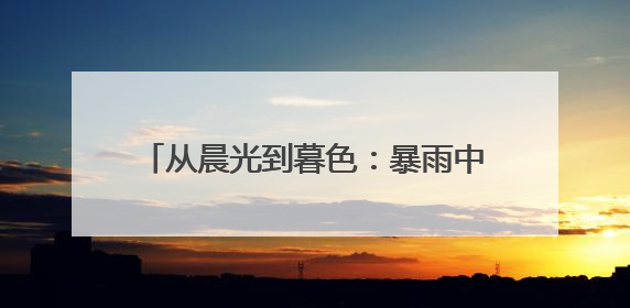 从晨光到暮色：暴雨中“电骡子”逆行送光明