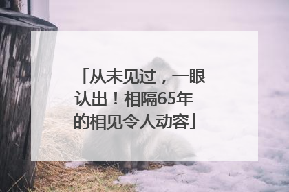 从未见过，一眼认出！相隔65年的相见令人动容