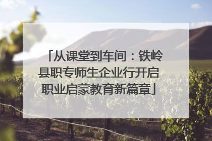 从课堂到车间：铁岭县职专师生企业行开启职业启蒙教育新篇章