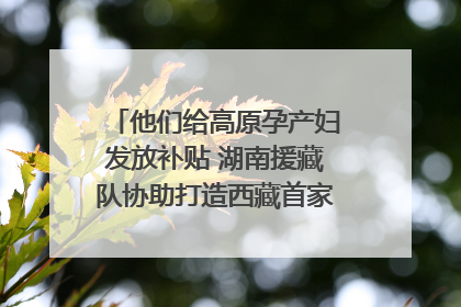 他们给高原孕产妇发放补贴 湖南援藏队协助打造西藏首家高原产儿协同中心