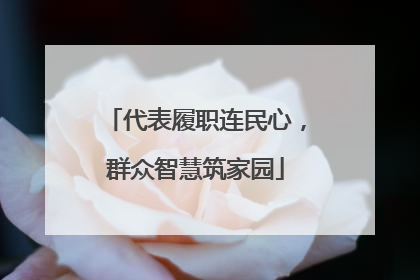 代表履职连民心，群众智慧筑家园