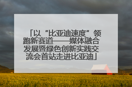 以“比亚迪速度”领跑新赛道——媒体融合发展暨绿色创新实践交流会首站走进比亚迪