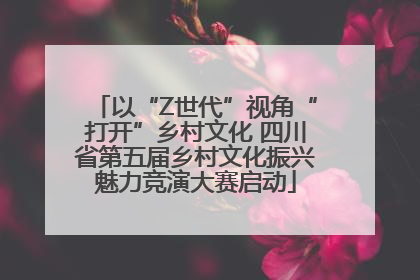 以“Z世代”视角“打开”乡村文化 四川省第五届乡村文化振兴魅力竞演大赛启动
