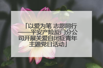 以爱为笔 志愿同行——平安产险厦门分公司开展关爱自闭症青年主题党日活动