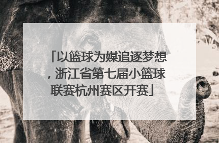 以篮球为媒追逐梦想，浙江省第七届小篮球联赛杭州赛区开赛