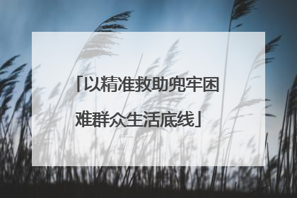 以精准救助兜牢困难群众生活底线
