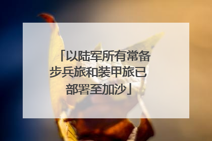 以陆军所有常备步兵旅和装甲旅已部署至加沙