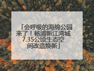 会呼吸的海绵公园来了！杨浦新江湾城7.35公顷生态空间改造焕新