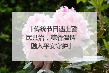 传统节日遇上警民共治，粽香温情融入平安守护