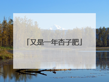 又是一年杏子肥