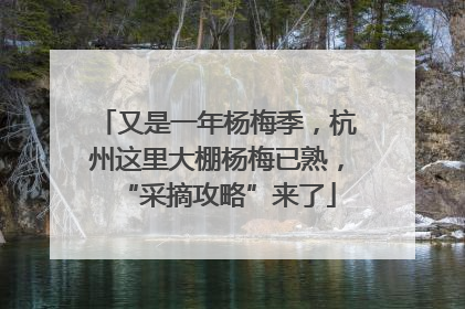 又是一年杨梅季，杭州这里大棚杨梅已熟，“采摘攻略”来了