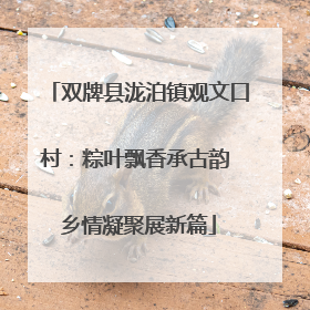 双牌县泷泊镇观文口村：粽叶飘香承古韵 乡情凝聚展新篇