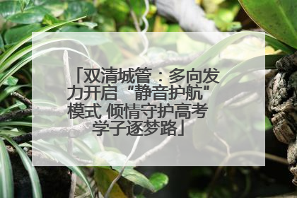 双清城管：多向发力开启“静音护航”模式 倾情守护高考学子逐梦路