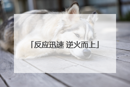 反应迅速 逆火而上