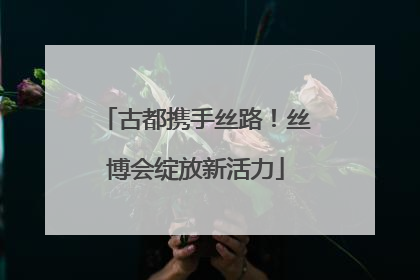 古都携手丝路！丝博会绽放新活力