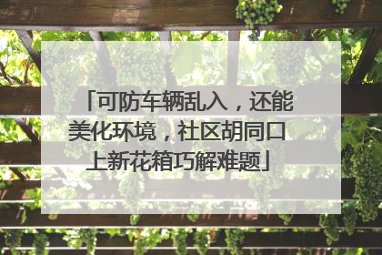 可防车辆乱入，还能美化环境，社区胡同口上新花箱巧解难题