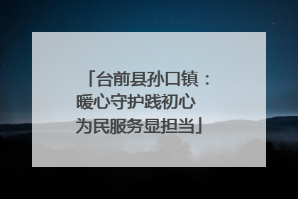 台前县孙口镇：暖心守护践初心 为民服务显担当