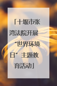 十堰市张湾法院开展“世界环境日”主题教育活动
